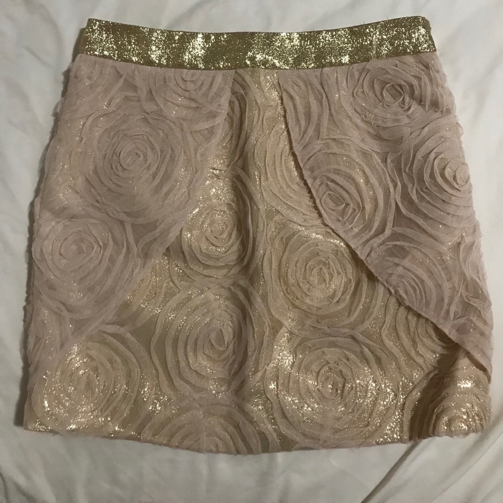 Brand new never wore pink skirt
